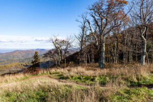 Skyline Drive Fall 2021