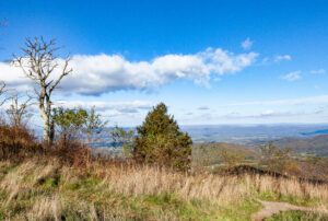 Skyline Drive Fall 2021