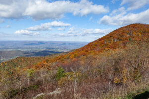 Skyline Drive Fall 2021