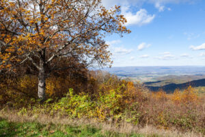 Skyline Drive Fall 2021