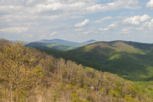 Skyline Drive Spring 2012